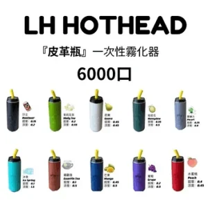 LH HOTHEAD皮革瓶6000口拋棄式電子煙可充電一次性