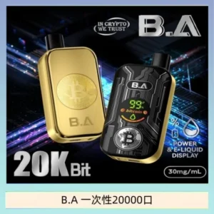 B.A一次性抛棄式電子煙20000口