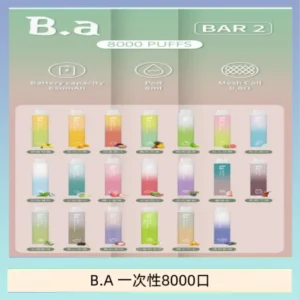 B.A一次性抛棄式電子煙8000口